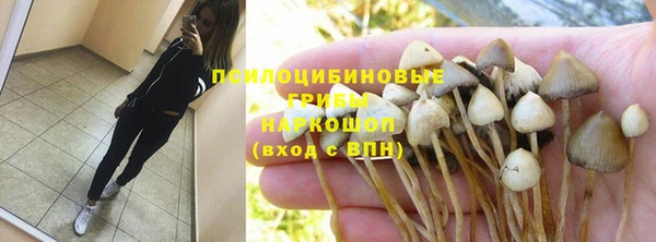 таблы Шадринск