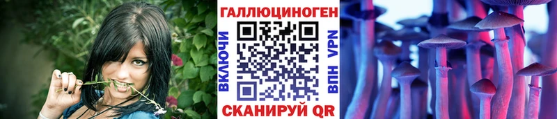 Купить где  Усть-Катав  Галлюциногенные грибы Cubensis 